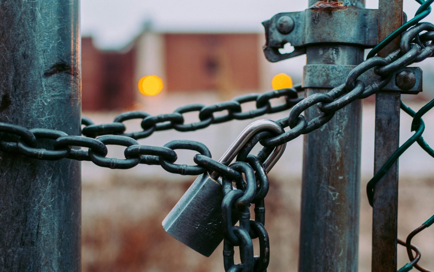 Photo by Scott Rodgerson/Unsplash